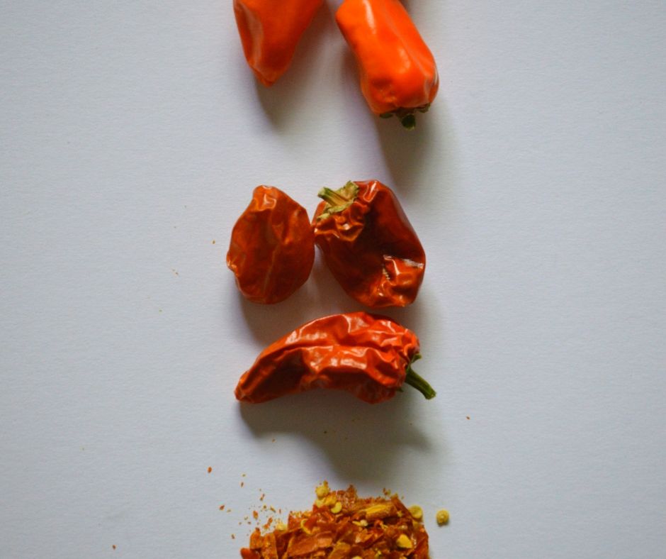 dry chilies