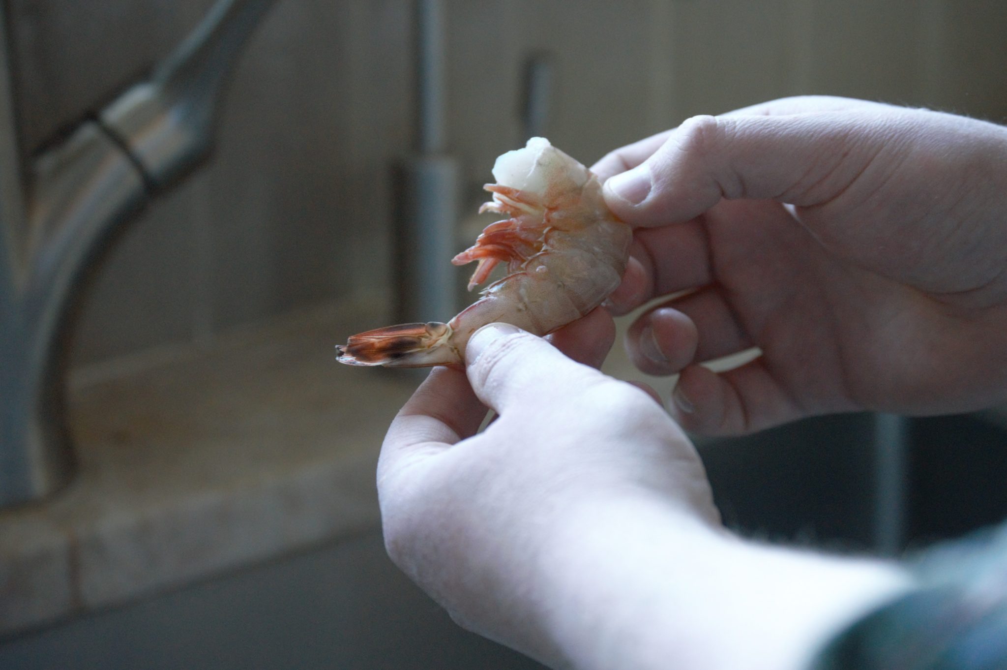 hands holdin up an shrimp that hasn't been peeled & deveined yet.