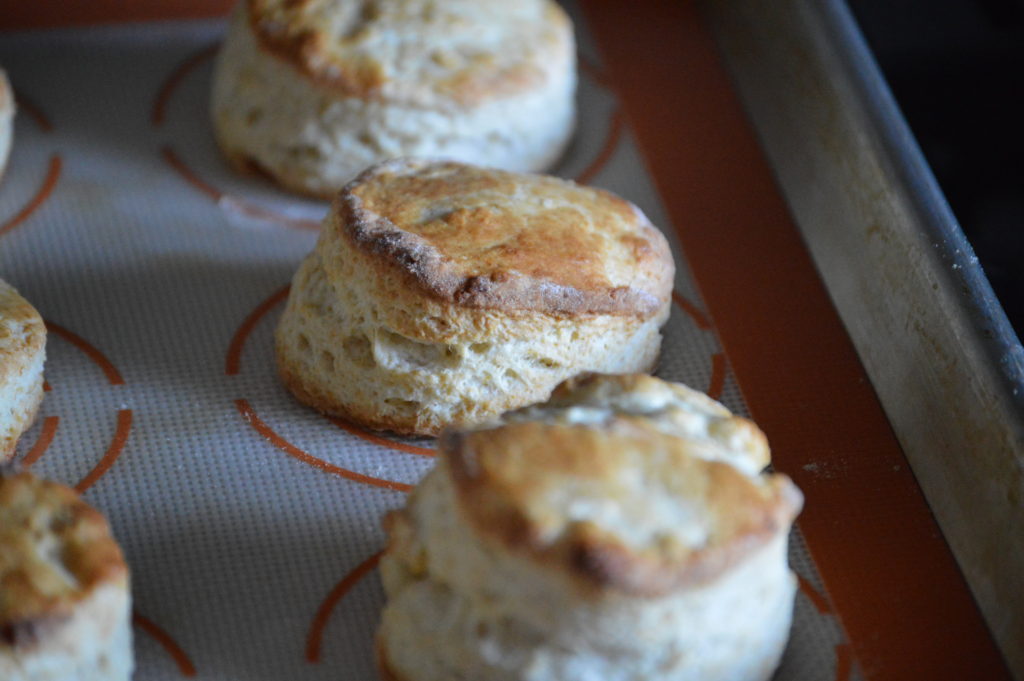 the finished English scones resting