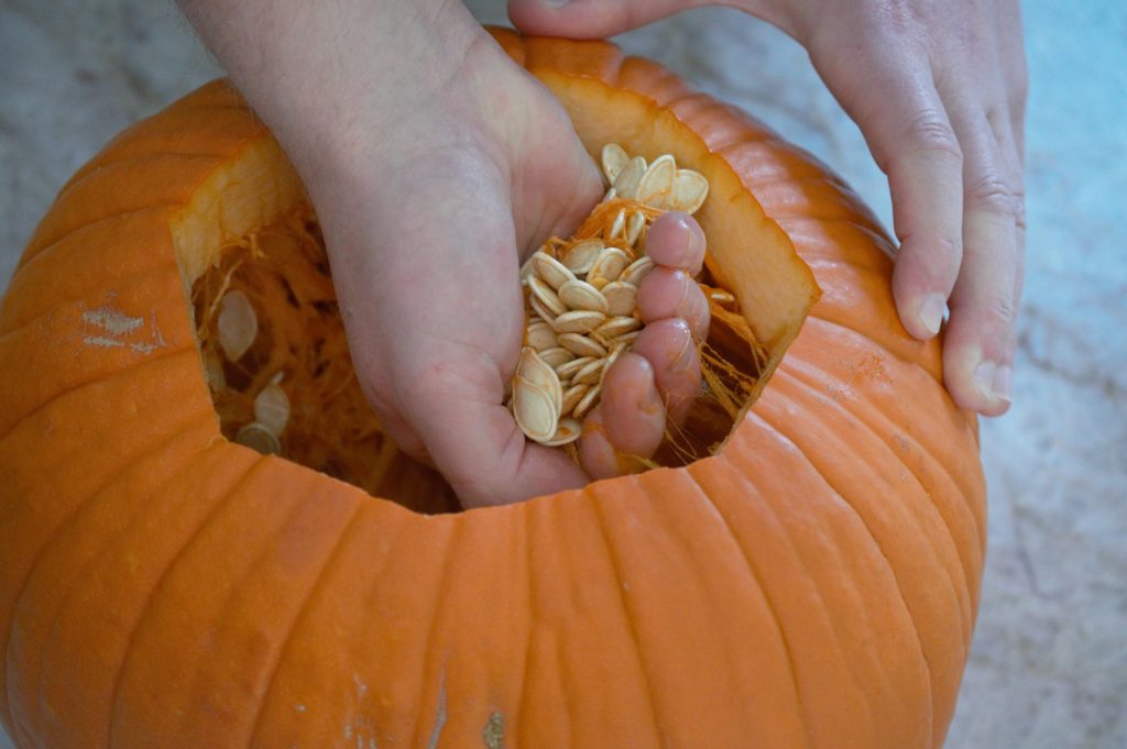 taking the seeds out of the pumpkin