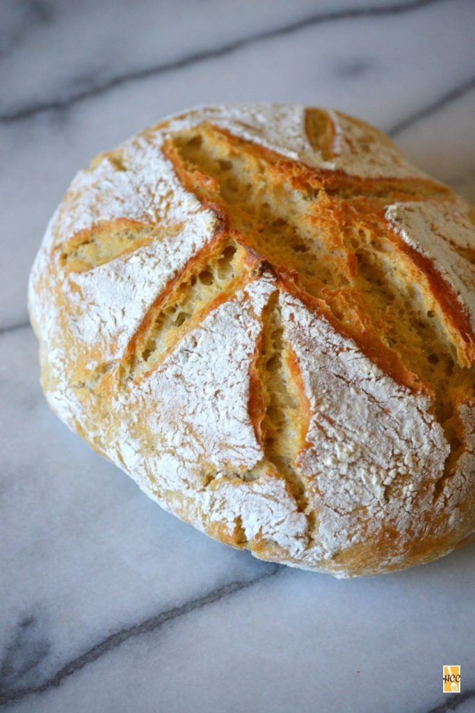 another shot of the no-knead bread