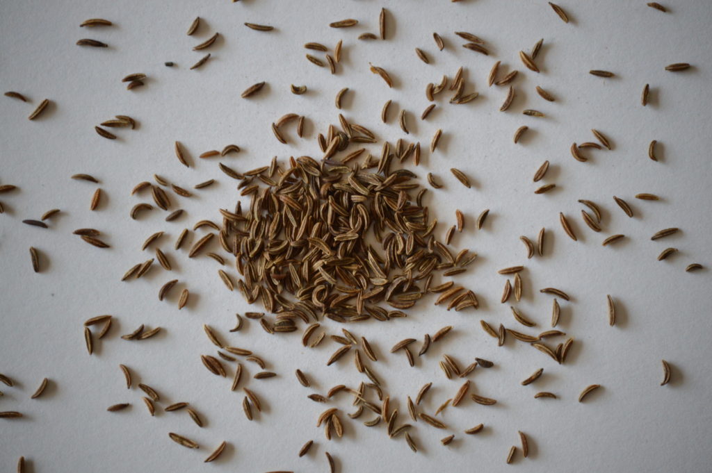whole spices caraway seeds