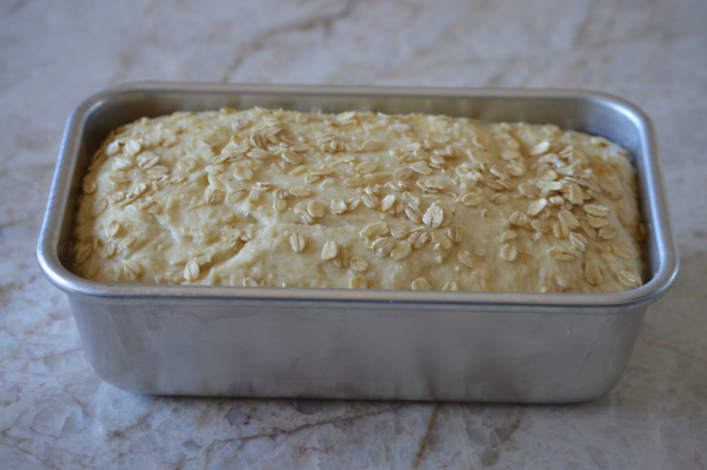 the honey oat bread risen in the loaf pan