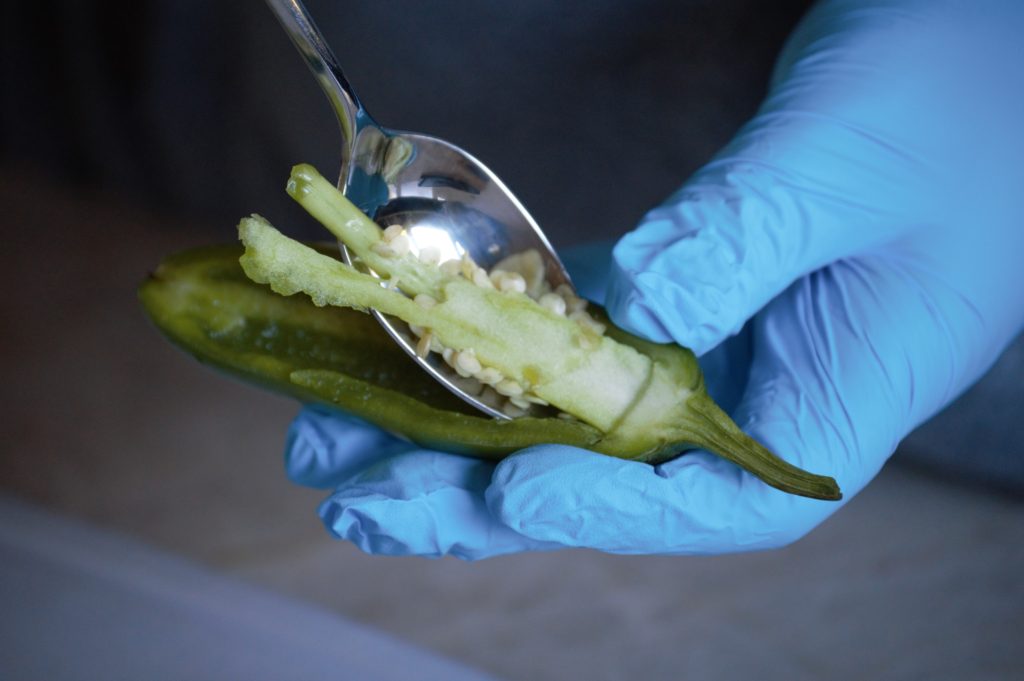 deseeding the jalapeno peppers