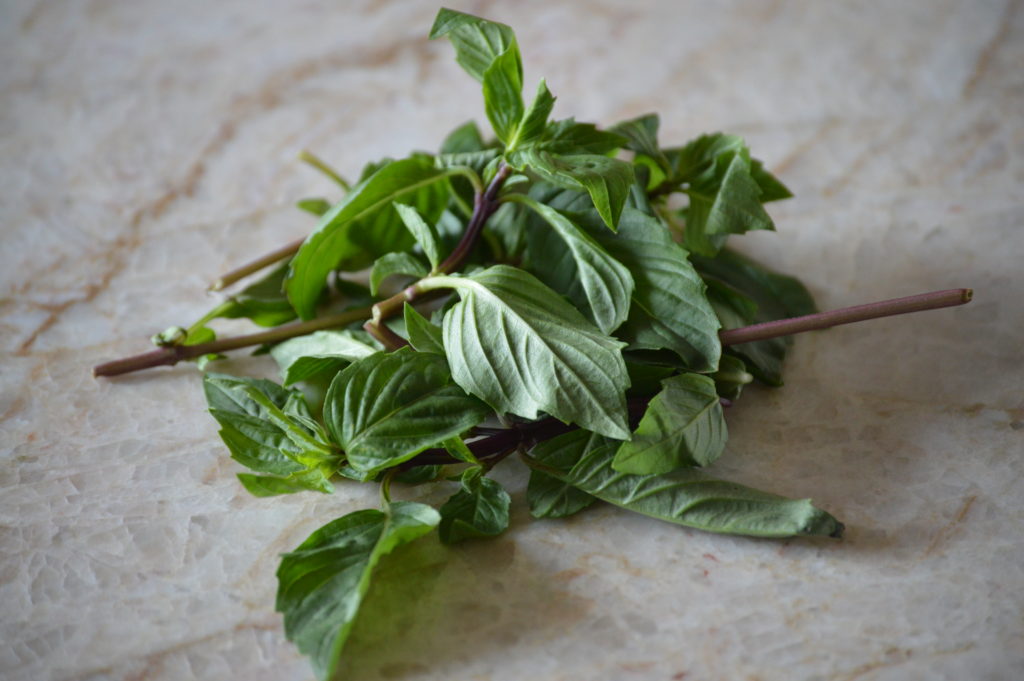 so fresh Thai basil