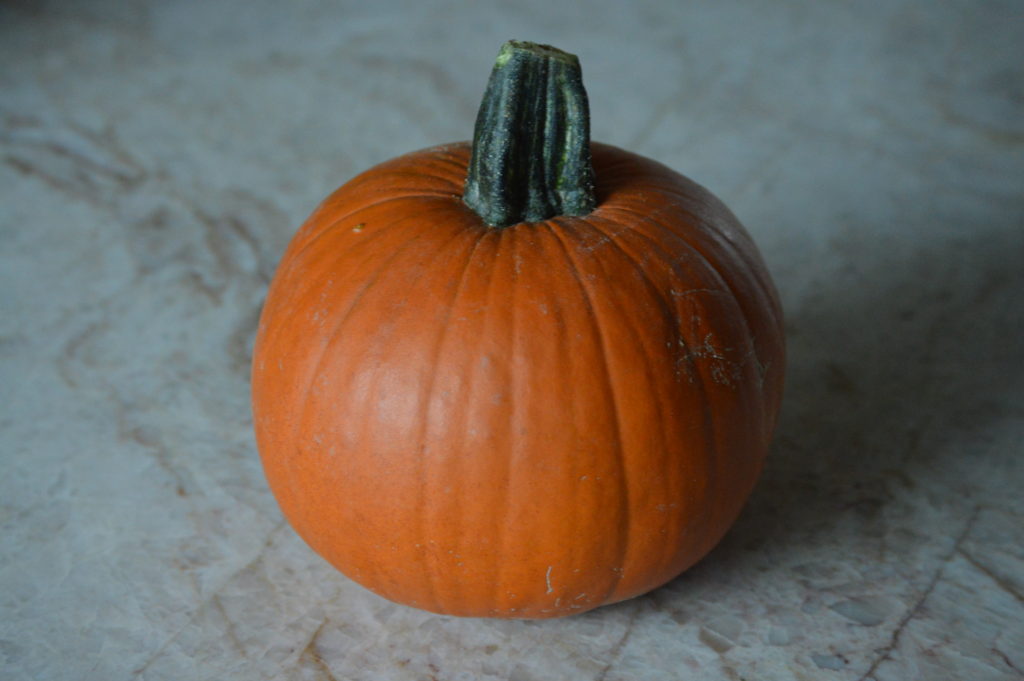 a pie pumpkin
